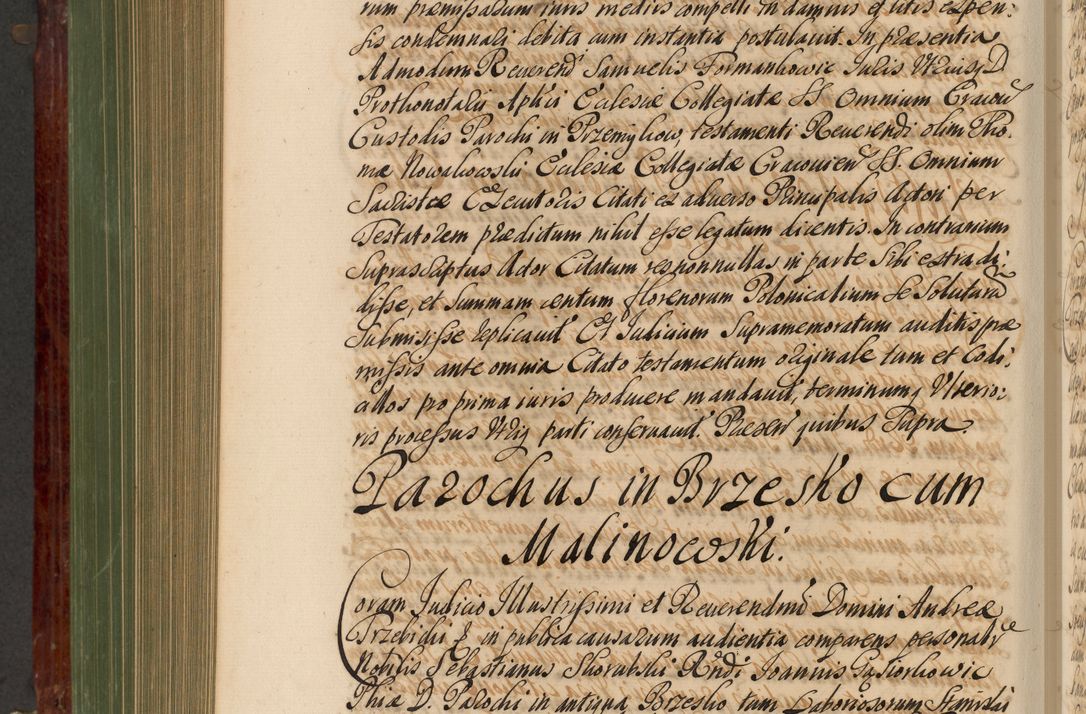 Zdjęcie nr 799 dla obiektu archiwalnego: Acta actorum episcopalium R. D. Andreae Trzebicki, episcopi Cracoviensis et ducis Severiae de 1679. Volumen VIII