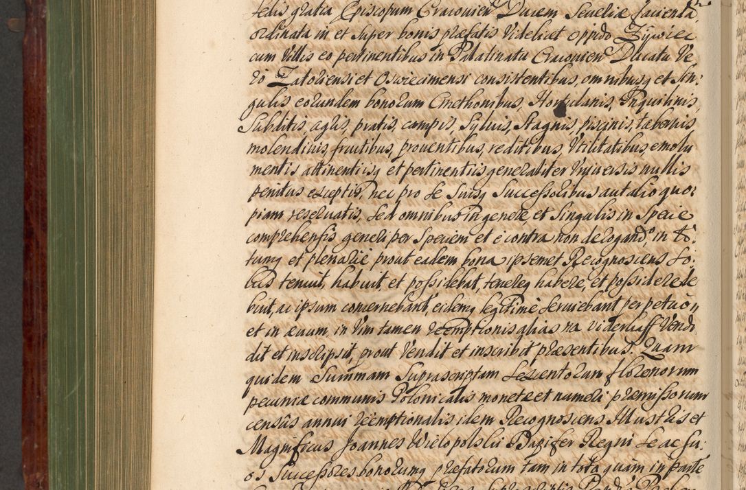 Zdjęcie nr 775 dla obiektu archiwalnego: Acta actorum episcopalium R. D. Andreae Trzebicki, episcopi Cracoviensis et ducis Severiae de 1679. Volumen VIII
