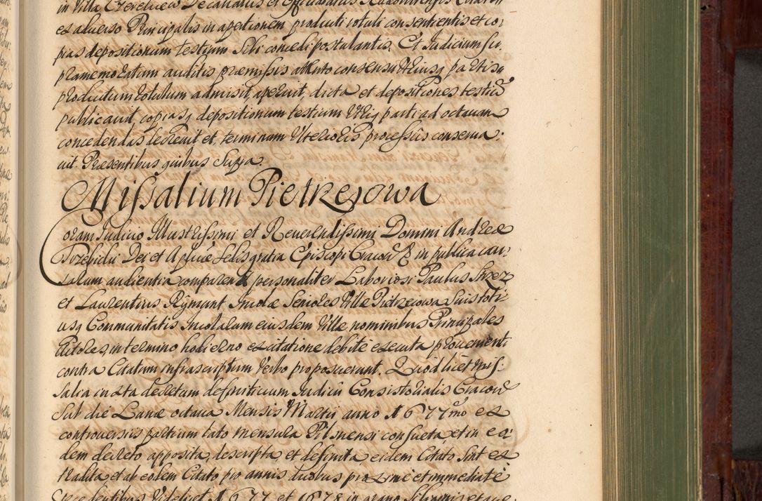 Zdjęcie nr 702 dla obiektu archiwalnego: Acta actorum episcopalium R. D. Andreae Trzebicki, episcopi Cracoviensis et ducis Severiae de 1679. Volumen VIII