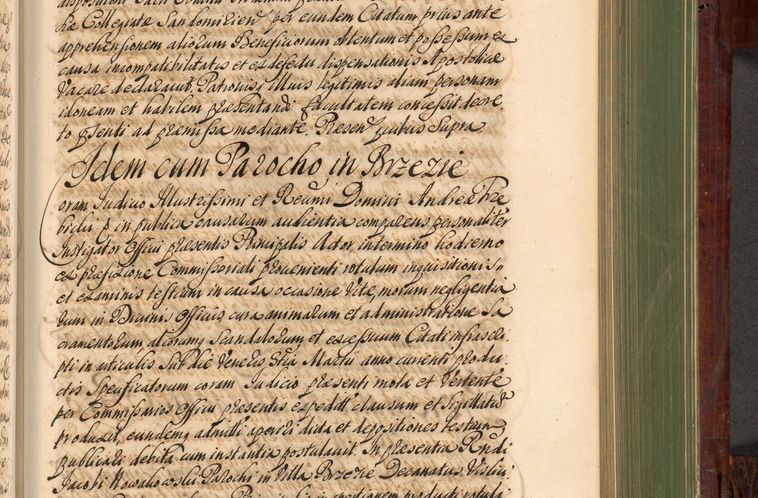 Zdjęcie nr 694 dla obiektu archiwalnego: Acta actorum episcopalium R. D. Andreae Trzebicki, episcopi Cracoviensis et ducis Severiae de 1679. Volumen VIII