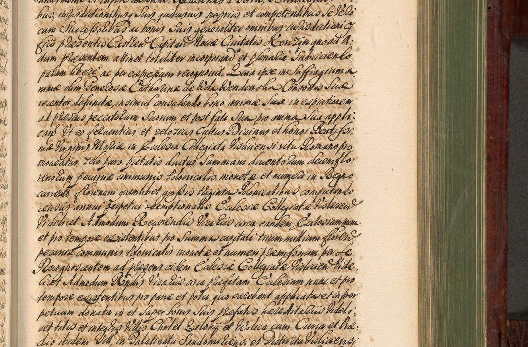 Zdjęcie nr 666 dla obiektu archiwalnego: Acta actorum episcopalium R. D. Andreae Trzebicki, episcopi Cracoviensis et ducis Severiae de 1679. Volumen VIII