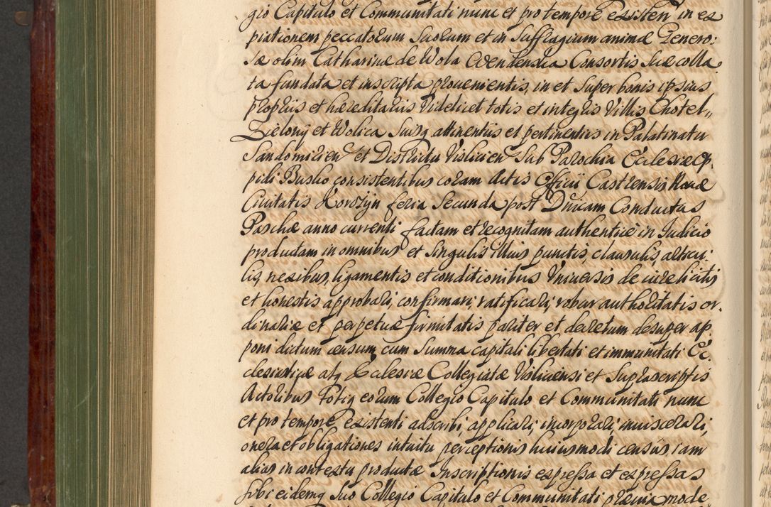 Zdjęcie nr 665 dla obiektu archiwalnego: Acta actorum episcopalium R. D. Andreae Trzebicki, episcopi Cracoviensis et ducis Severiae de 1679. Volumen VIII