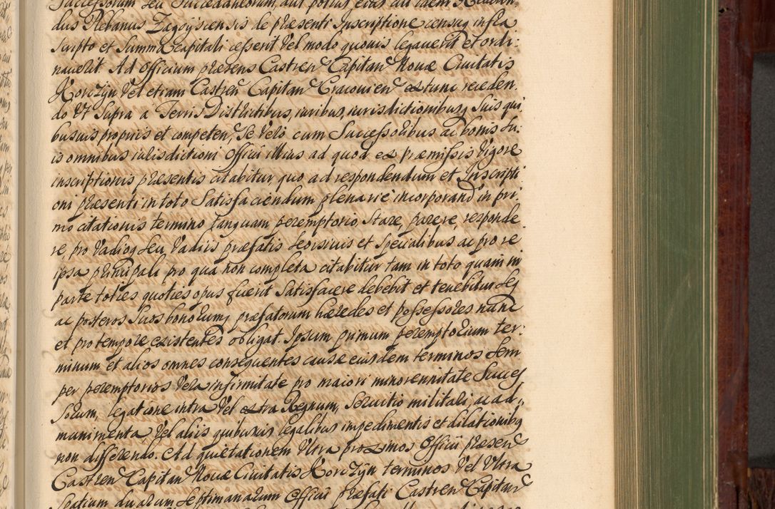 Zdjęcie nr 644 dla obiektu archiwalnego: Acta actorum episcopalium R. D. Andreae Trzebicki, episcopi Cracoviensis et ducis Severiae de 1679. Volumen VIII