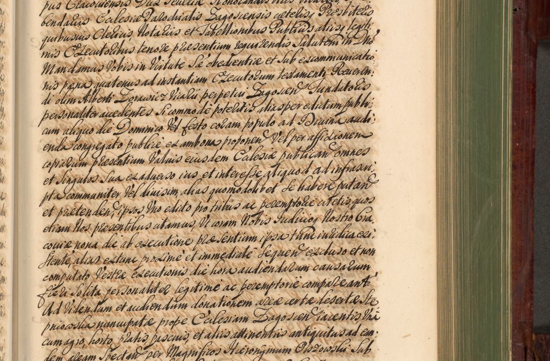 Zdjęcie nr 638 dla obiektu archiwalnego: Acta actorum episcopalium R. D. Andreae Trzebicki, episcopi Cracoviensis et ducis Severiae de 1679. Volumen VIII