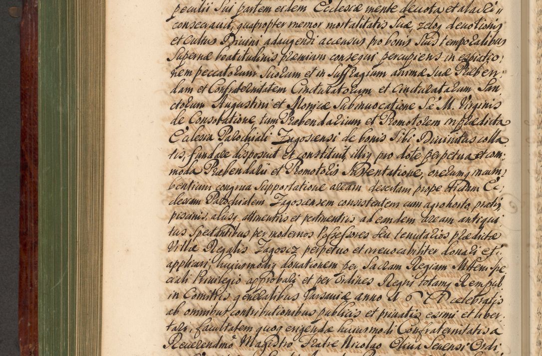 Zdjęcie nr 633 dla obiektu archiwalnego: Acta actorum episcopalium R. D. Andreae Trzebicki, episcopi Cracoviensis et ducis Severiae de 1679. Volumen VIII