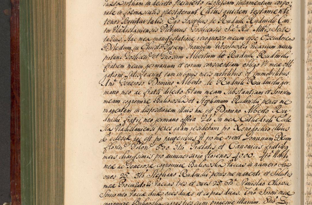 Zdjęcie nr 953 dla obiektu archiwalnego: Acta actorum episcopalium R. D. Andreae Trzebicki, episcopi Cracoviensis et ducis Severiae de 1679. Volumen VIII
