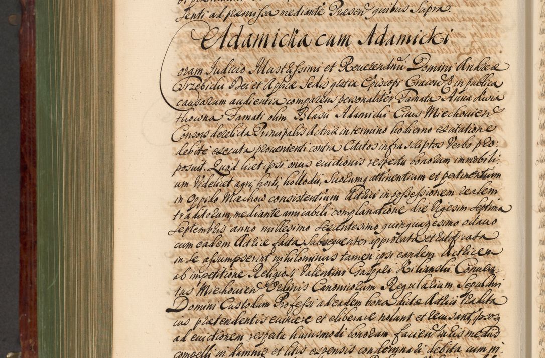 Zdjęcie nr 945 dla obiektu archiwalnego: Acta actorum episcopalium R. D. Andreae Trzebicki, episcopi Cracoviensis et ducis Severiae de 1679. Volumen VIII