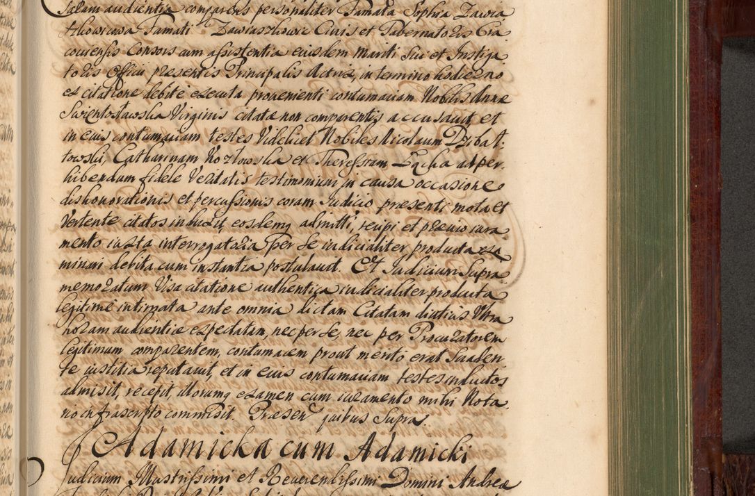 Zdjęcie nr 924 dla obiektu archiwalnego: Acta actorum episcopalium R. D. Andreae Trzebicki, episcopi Cracoviensis et ducis Severiae de 1679. Volumen VIII