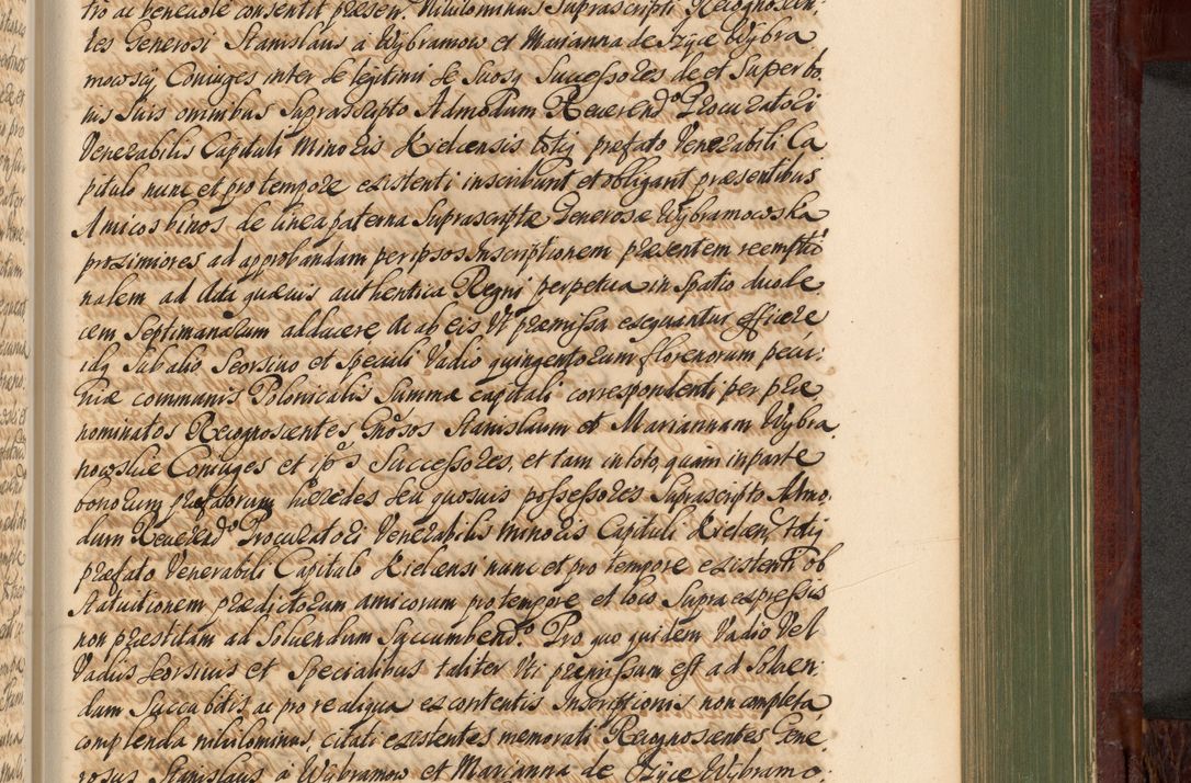 Zdjęcie nr 912 dla obiektu archiwalnego: Acta actorum episcopalium R. D. Andreae Trzebicki, episcopi Cracoviensis et ducis Severiae de 1679. Volumen VIII