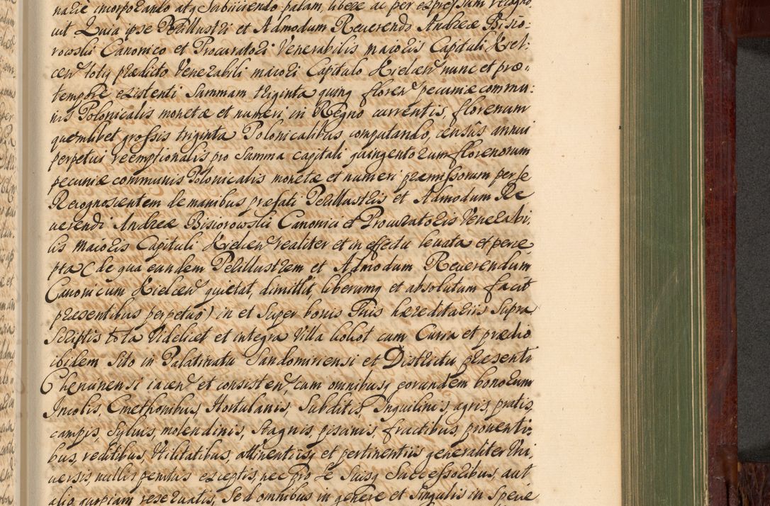 Zdjęcie nr 902 dla obiektu archiwalnego: Acta actorum episcopalium R. D. Andreae Trzebicki, episcopi Cracoviensis et ducis Severiae de 1679. Volumen VIII