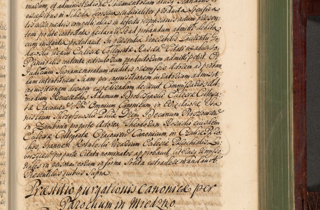 Zdjęcie nr 896 dla obiektu archiwalnego: Acta actorum episcopalium R. D. Andreae Trzebicki, episcopi Cracoviensis et ducis Severiae de 1679. Volumen VIII
