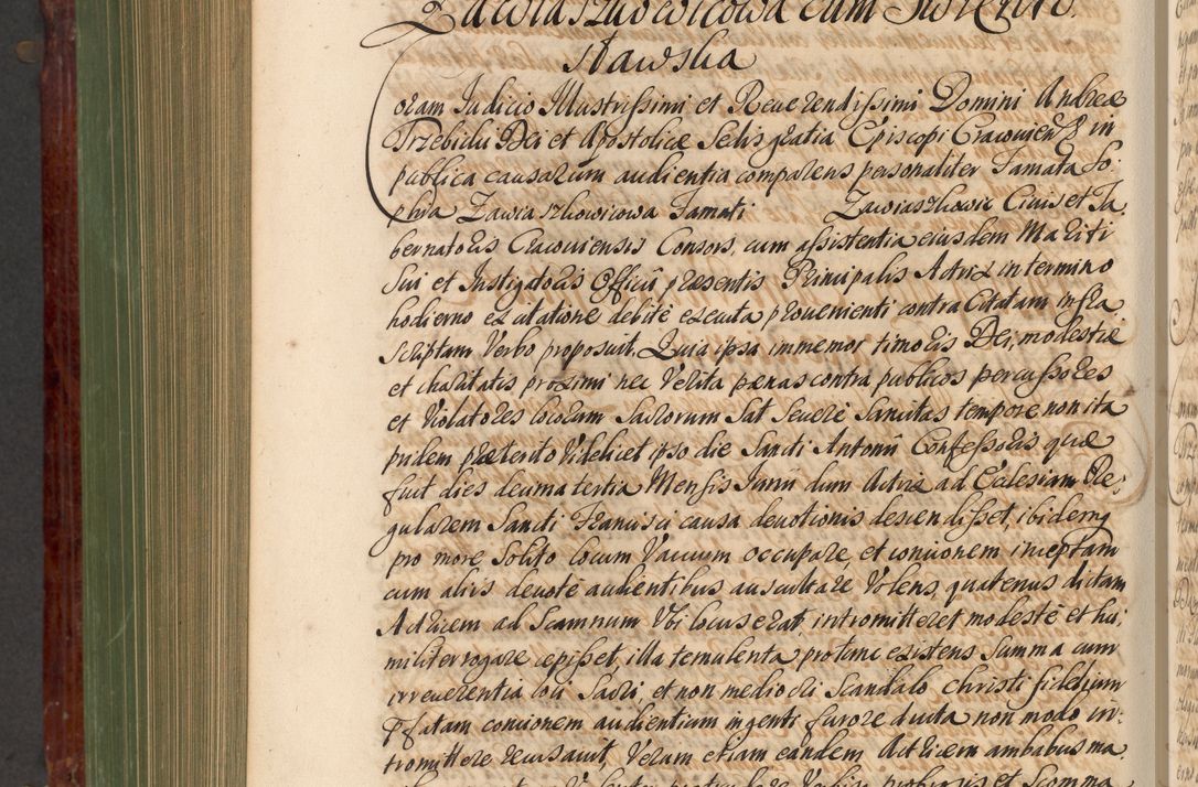 Zdjęcie nr 891 dla obiektu archiwalnego: Acta actorum episcopalium R. D. Andreae Trzebicki, episcopi Cracoviensis et ducis Severiae de 1679. Volumen VIII