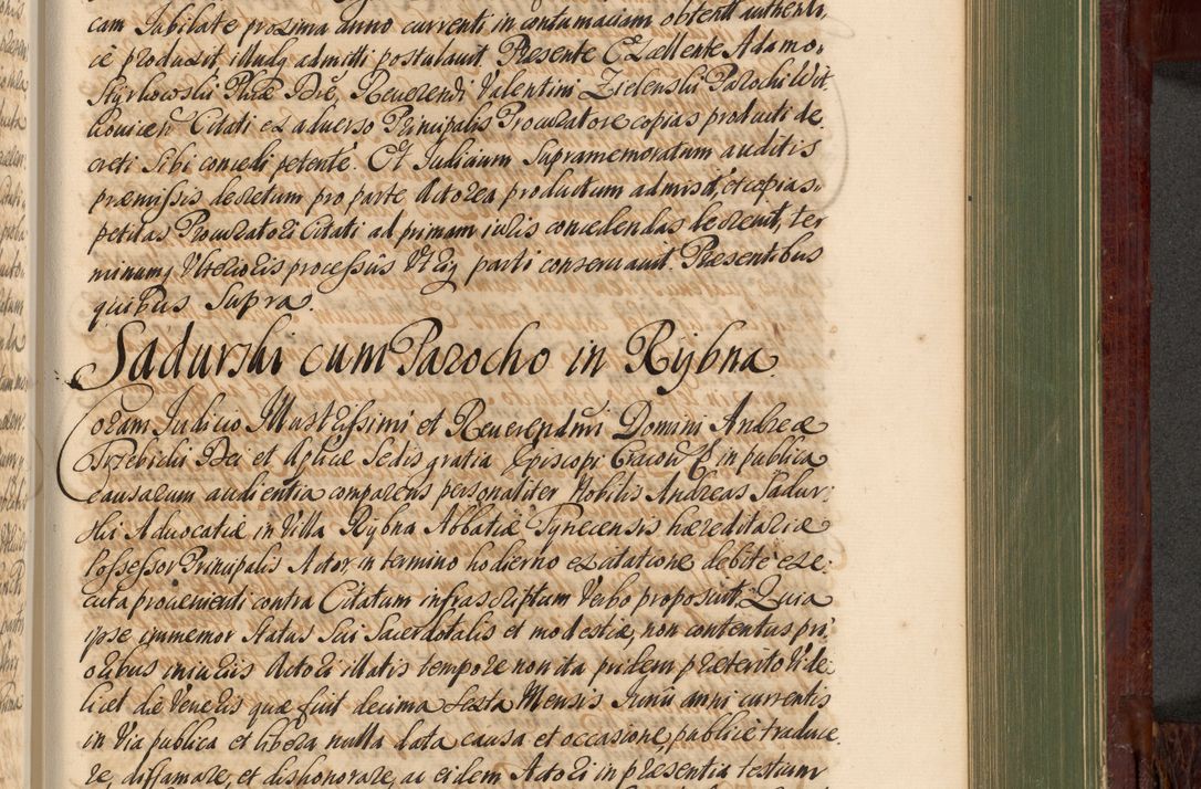 Zdjęcie nr 890 dla obiektu archiwalnego: Acta actorum episcopalium R. D. Andreae Trzebicki, episcopi Cracoviensis et ducis Severiae de 1679. Volumen VIII