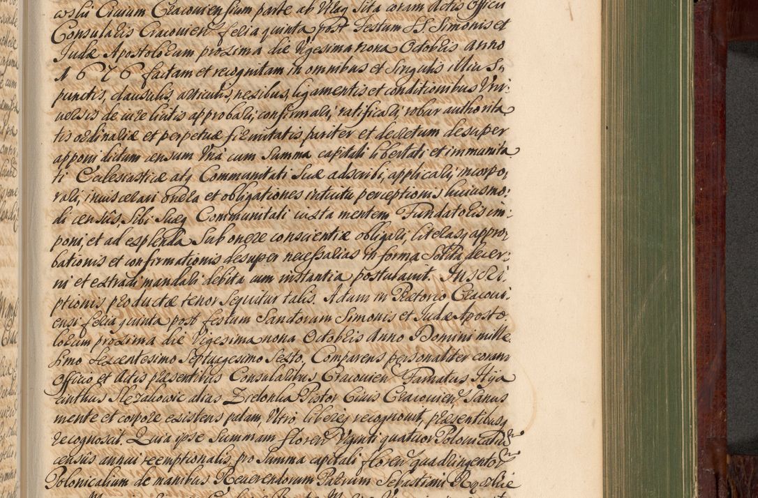 Zdjęcie nr 878 dla obiektu archiwalnego: Acta actorum episcopalium R. D. Andreae Trzebicki, episcopi Cracoviensis et ducis Severiae de 1679. Volumen VIII