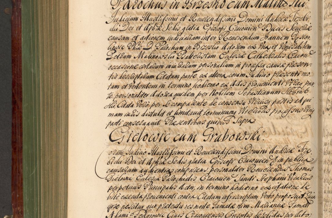 Zdjęcie nr 869 dla obiektu archiwalnego: Acta actorum episcopalium R. D. Andreae Trzebicki, episcopi Cracoviensis et ducis Severiae de 1679. Volumen VIII