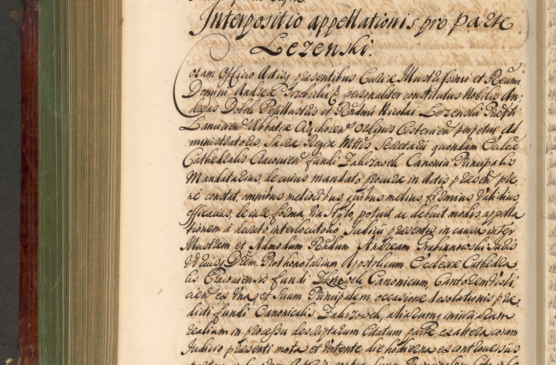 Zdjęcie nr 849 dla obiektu archiwalnego: Acta actorum episcopalium R. D. Andreae Trzebicki, episcopi Cracoviensis et ducis Severiae de 1679. Volumen VIII