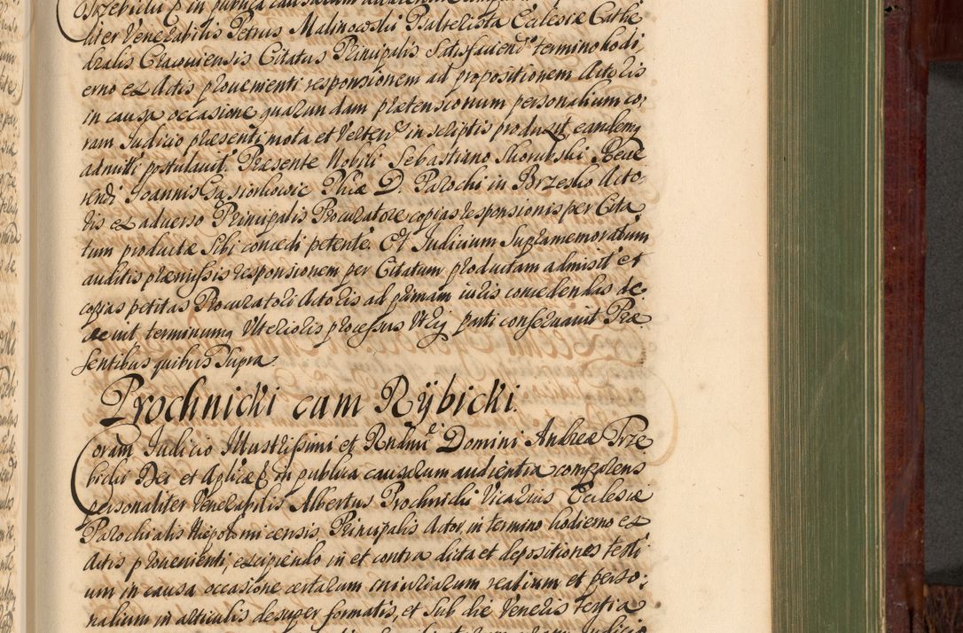 Zdjęcie nr 816 dla obiektu archiwalnego: Acta actorum episcopalium R. D. Andreae Trzebicki, episcopi Cracoviensis et ducis Severiae de 1679. Volumen VIII