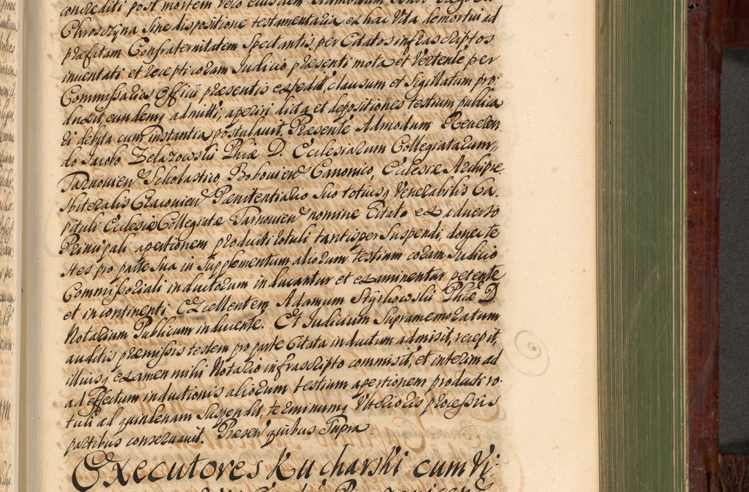 Zdjęcie nr 810 dla obiektu archiwalnego: Acta actorum episcopalium R. D. Andreae Trzebicki, episcopi Cracoviensis et ducis Severiae de 1679. Volumen VIII