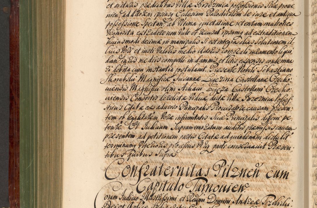 Zdjęcie nr 809 dla obiektu archiwalnego: Acta actorum episcopalium R. D. Andreae Trzebicki, episcopi Cracoviensis et ducis Severiae de 1679. Volumen VIII