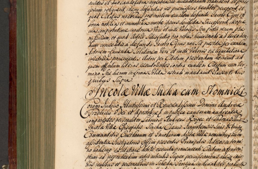 Zdjęcie nr 1005 dla obiektu archiwalnego: Acta actorum episcopalium R. D. Andreae Trzebicki, episcopi Cracoviensis et ducis Severiae de 1679. Volumen VIII