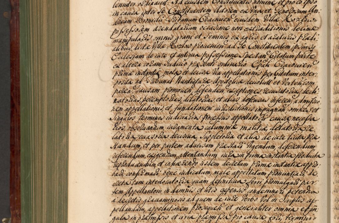 Zdjęcie nr 1199 dla obiektu archiwalnego: Acta actorum episcopalium R. D. Andreae Trzebicki, episcopi Cracoviensis et ducis Severiae de 1679. Volumen VIII