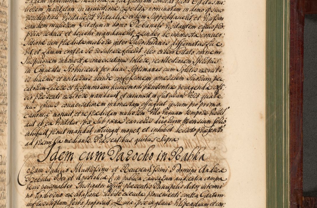 Zdjęcie nr 1194 dla obiektu archiwalnego: Acta actorum episcopalium R. D. Andreae Trzebicki, episcopi Cracoviensis et ducis Severiae de 1679. Volumen VIII