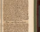 Zdjęcie nr 1194 dla obiektu archiwalnego: Acta actorum episcopalium R. D. Andreae Trzebicki, episcopi Cracoviensis et ducis Severiae de 1679. Volumen VIII