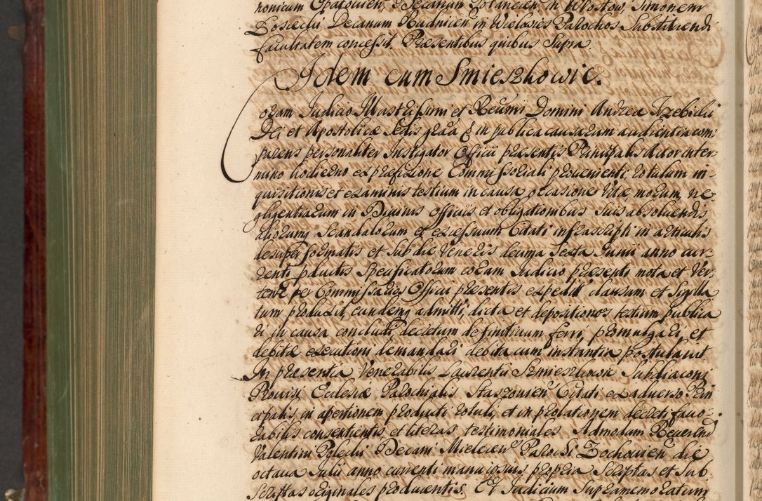 Zdjęcie nr 1197 dla obiektu archiwalnego: Acta actorum episcopalium R. D. Andreae Trzebicki, episcopi Cracoviensis et ducis Severiae de 1679. Volumen VIII