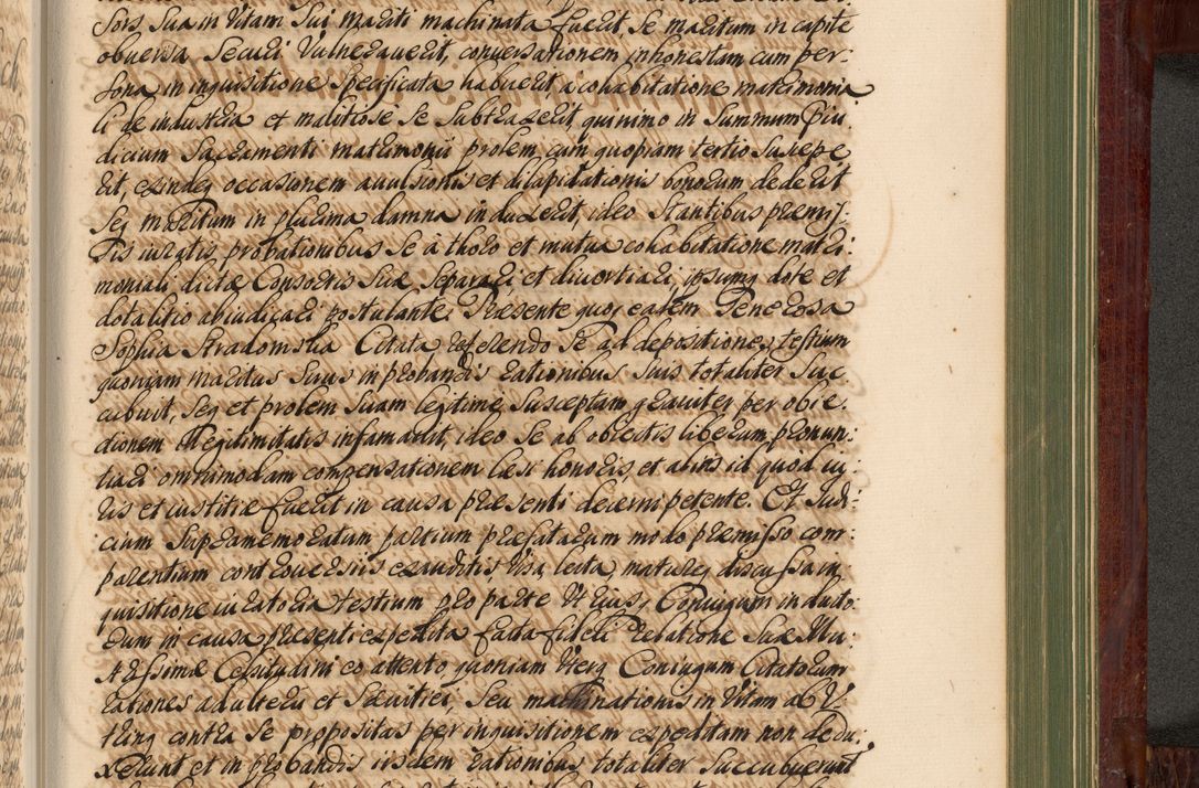 Zdjęcie nr 1190 dla obiektu archiwalnego: Acta actorum episcopalium R. D. Andreae Trzebicki, episcopi Cracoviensis et ducis Severiae de 1679. Volumen VIII