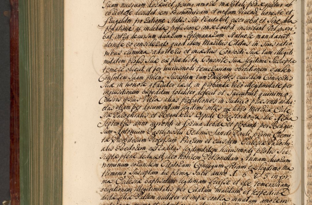 Zdjęcie nr 1191 dla obiektu archiwalnego: Acta actorum episcopalium R. D. Andreae Trzebicki, episcopi Cracoviensis et ducis Severiae de 1679. Volumen VIII