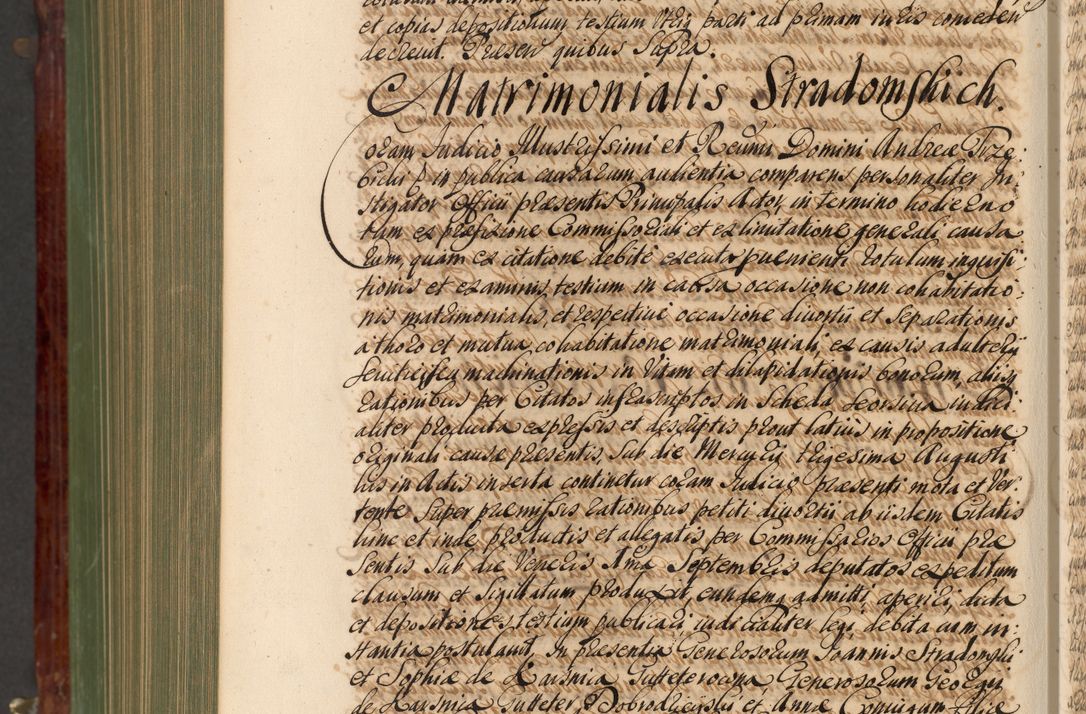 Zdjęcie nr 1189 dla obiektu archiwalnego: Acta actorum episcopalium R. D. Andreae Trzebicki, episcopi Cracoviensis et ducis Severiae de 1679. Volumen VIII