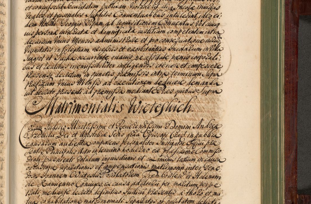 Zdjęcie nr 1188 dla obiektu archiwalnego: Acta actorum episcopalium R. D. Andreae Trzebicki, episcopi Cracoviensis et ducis Severiae de 1679. Volumen VIII