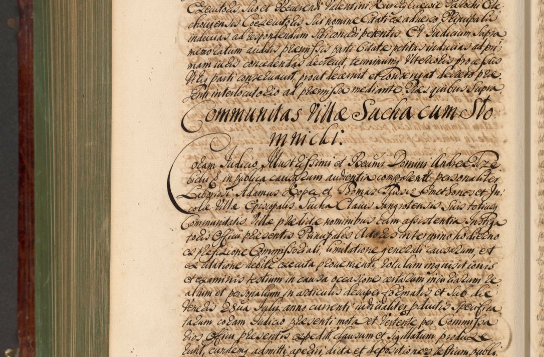 Zdjęcie nr 1185 dla obiektu archiwalnego: Acta actorum episcopalium R. D. Andreae Trzebicki, episcopi Cracoviensis et ducis Severiae de 1679. Volumen VIII