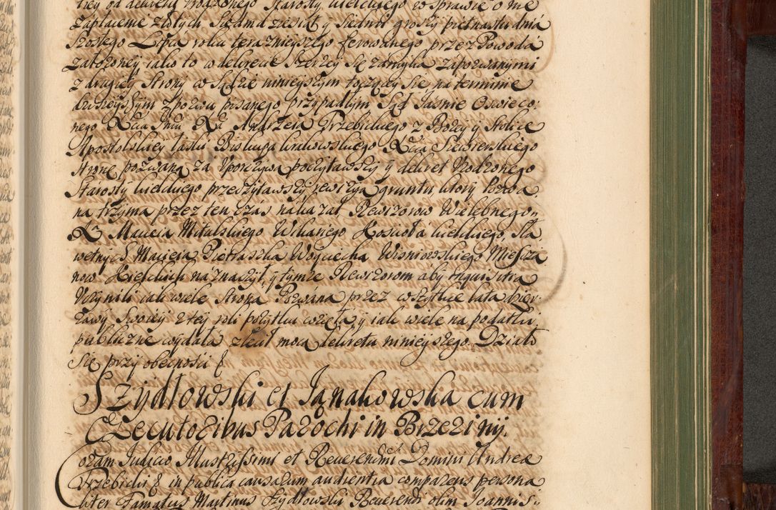 Zdjęcie nr 1184 dla obiektu archiwalnego: Acta actorum episcopalium R. D. Andreae Trzebicki, episcopi Cracoviensis et ducis Severiae de 1679. Volumen VIII