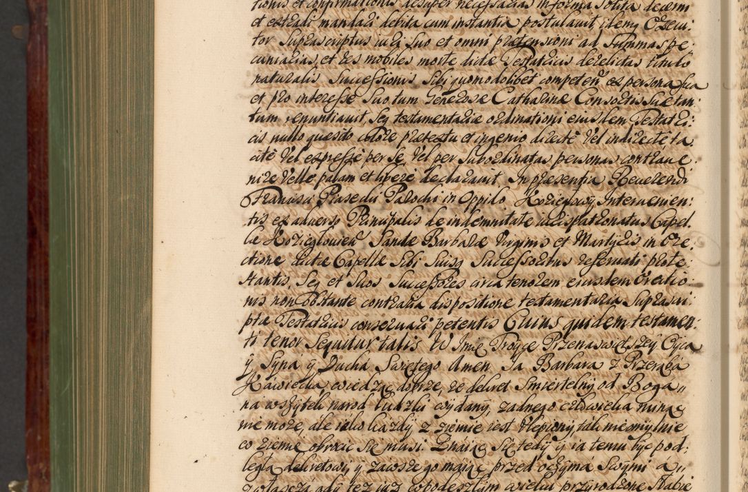 Zdjęcie nr 1169 dla obiektu archiwalnego: Acta actorum episcopalium R. D. Andreae Trzebicki, episcopi Cracoviensis et ducis Severiae de 1679. Volumen VIII