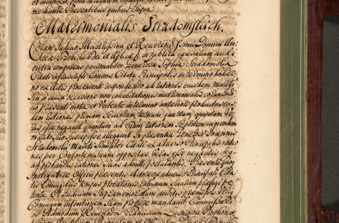 Zdjęcie nr 1154 dla obiektu archiwalnego: Acta actorum episcopalium R. D. Andreae Trzebicki, episcopi Cracoviensis et ducis Severiae de 1679. Volumen VIII