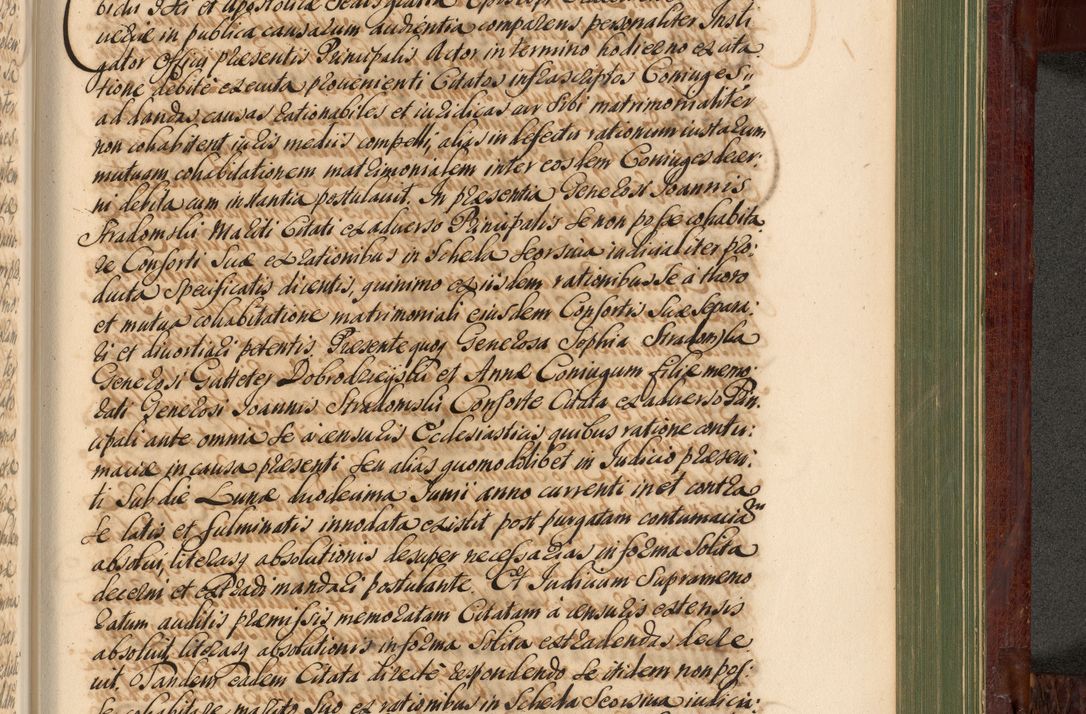 Zdjęcie nr 1148 dla obiektu archiwalnego: Acta actorum episcopalium R. D. Andreae Trzebicki, episcopi Cracoviensis et ducis Severiae de 1679. Volumen VIII