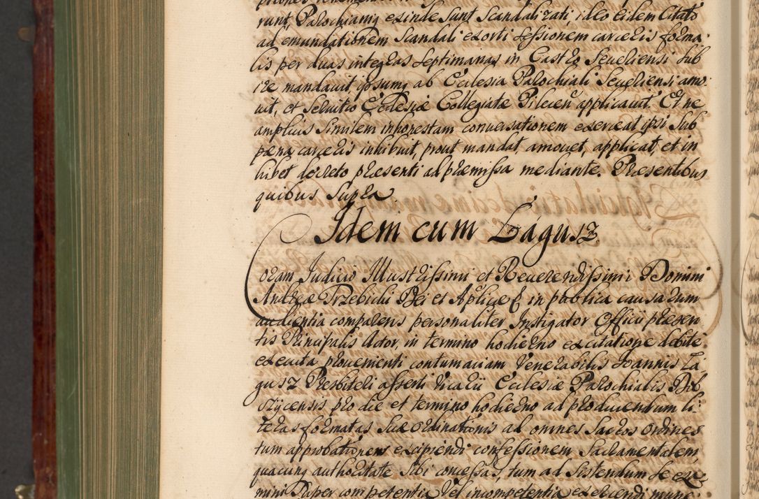 Zdjęcie nr 1137 dla obiektu archiwalnego: Acta actorum episcopalium R. D. Andreae Trzebicki, episcopi Cracoviensis et ducis Severiae de 1679. Volumen VIII