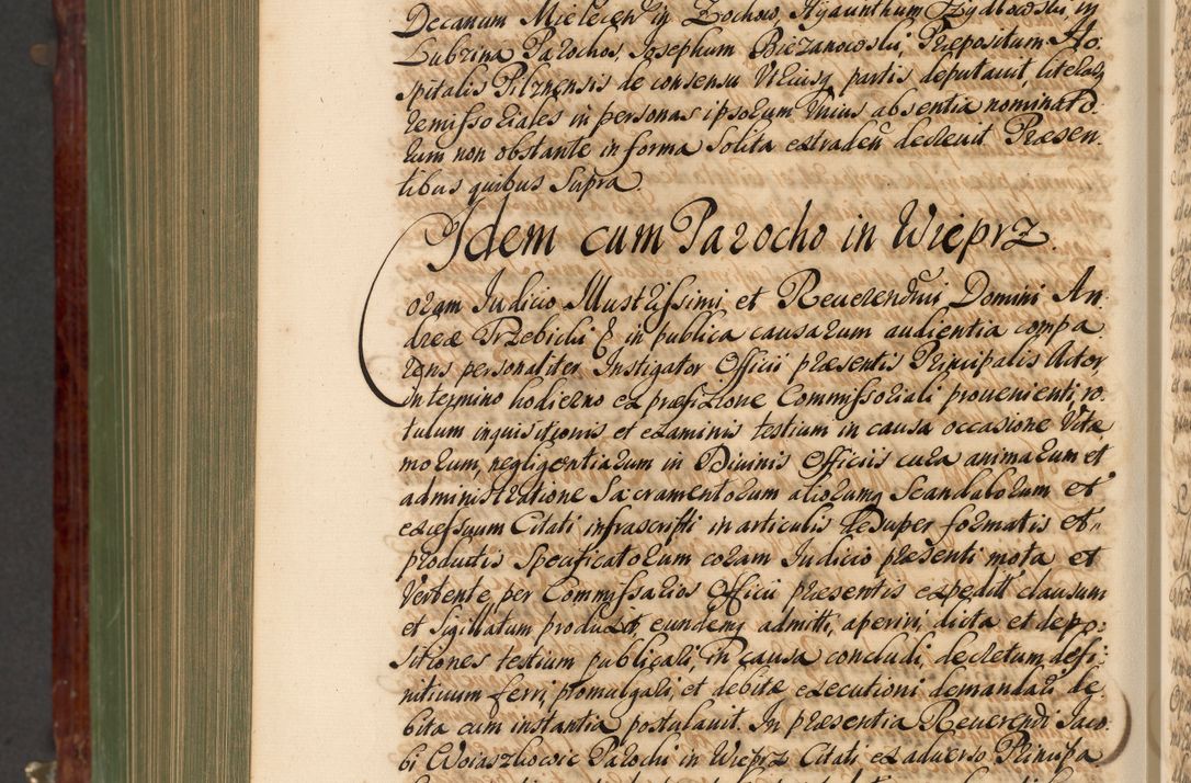 Zdjęcie nr 1133 dla obiektu archiwalnego: Acta actorum episcopalium R. D. Andreae Trzebicki, episcopi Cracoviensis et ducis Severiae de 1679. Volumen VIII