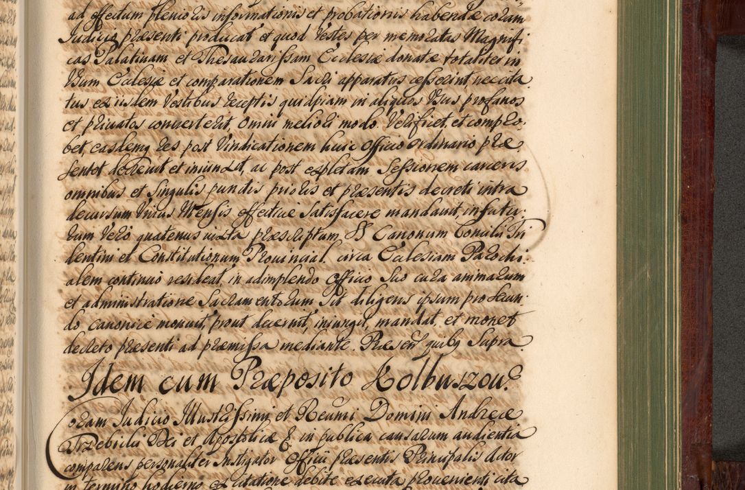 Zdjęcie nr 1132 dla obiektu archiwalnego: Acta actorum episcopalium R. D. Andreae Trzebicki, episcopi Cracoviensis et ducis Severiae de 1679. Volumen VIII