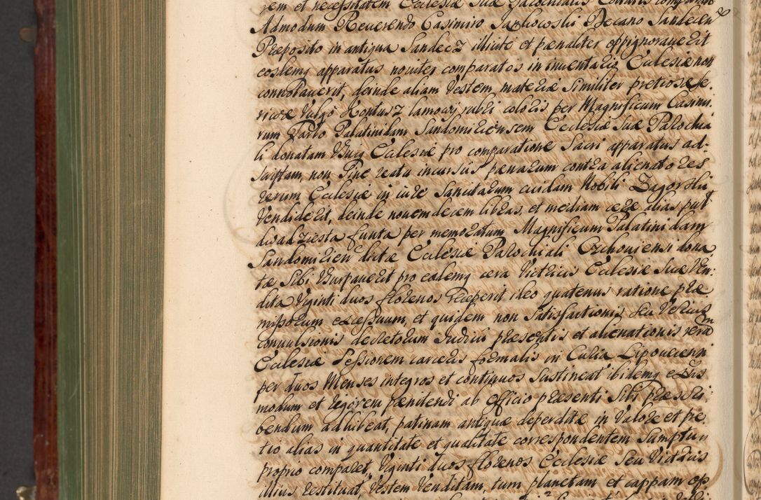 Zdjęcie nr 1131 dla obiektu archiwalnego: Acta actorum episcopalium R. D. Andreae Trzebicki, episcopi Cracoviensis et ducis Severiae de 1679. Volumen VIII