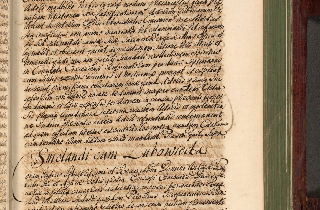 Zdjęcie nr 1064 dla obiektu archiwalnego: Acta actorum episcopalium R. D. Andreae Trzebicki, episcopi Cracoviensis et ducis Severiae de 1679. Volumen VIII