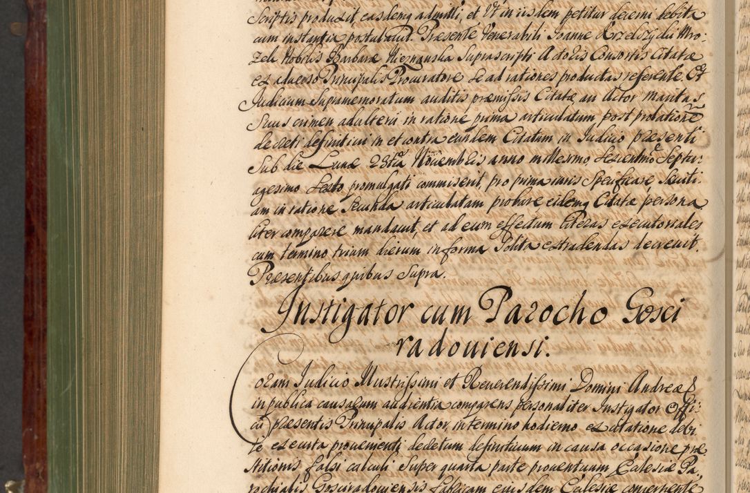 Zdjęcie nr 1011 dla obiektu archiwalnego: Acta actorum episcopalium R. D. Andreae Trzebicki, episcopi Cracoviensis et ducis Severiae de 1679. Volumen VIII