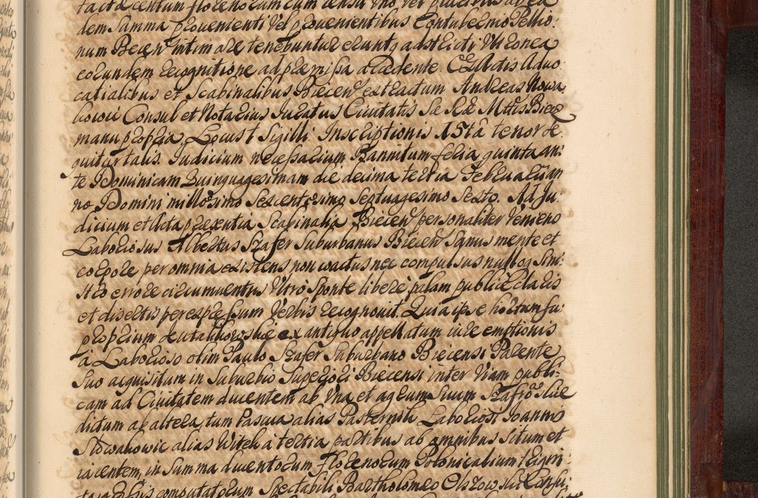 Zdjęcie nr 1354 dla obiektu archiwalnego: Acta actorum episcopalium R. D. Andreae Trzebicki, episcopi Cracoviensis et ducis Severiae de 1679. Volumen VIII
