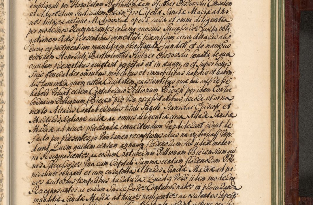 Zdjęcie nr 1352 dla obiektu archiwalnego: Acta actorum episcopalium R. D. Andreae Trzebicki, episcopi Cracoviensis et ducis Severiae de 1679. Volumen VIII