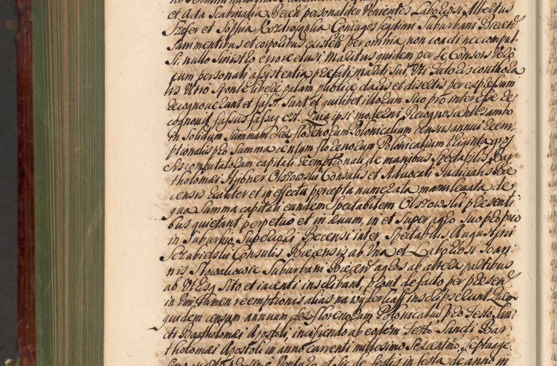 Zdjęcie nr 1349 dla obiektu archiwalnego: Acta actorum episcopalium R. D. Andreae Trzebicki, episcopi Cracoviensis et ducis Severiae de 1679. Volumen VIII