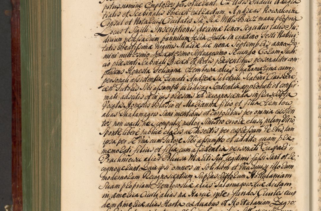 Zdjęcie nr 1343 dla obiektu archiwalnego: Acta actorum episcopalium R. D. Andreae Trzebicki, episcopi Cracoviensis et ducis Severiae de 1679. Volumen VIII