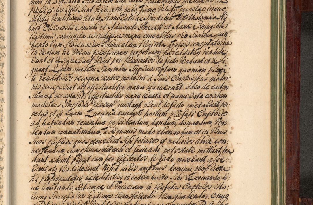 Zdjęcie nr 1342 dla obiektu archiwalnego: Acta actorum episcopalium R. D. Andreae Trzebicki, episcopi Cracoviensis et ducis Severiae de 1679. Volumen VIII