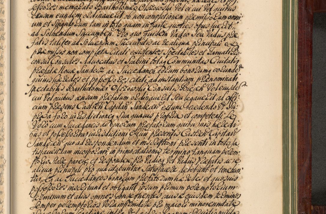 Zdjęcie nr 1336 dla obiektu archiwalnego: Acta actorum episcopalium R. D. Andreae Trzebicki, episcopi Cracoviensis et ducis Severiae de 1679. Volumen VIII