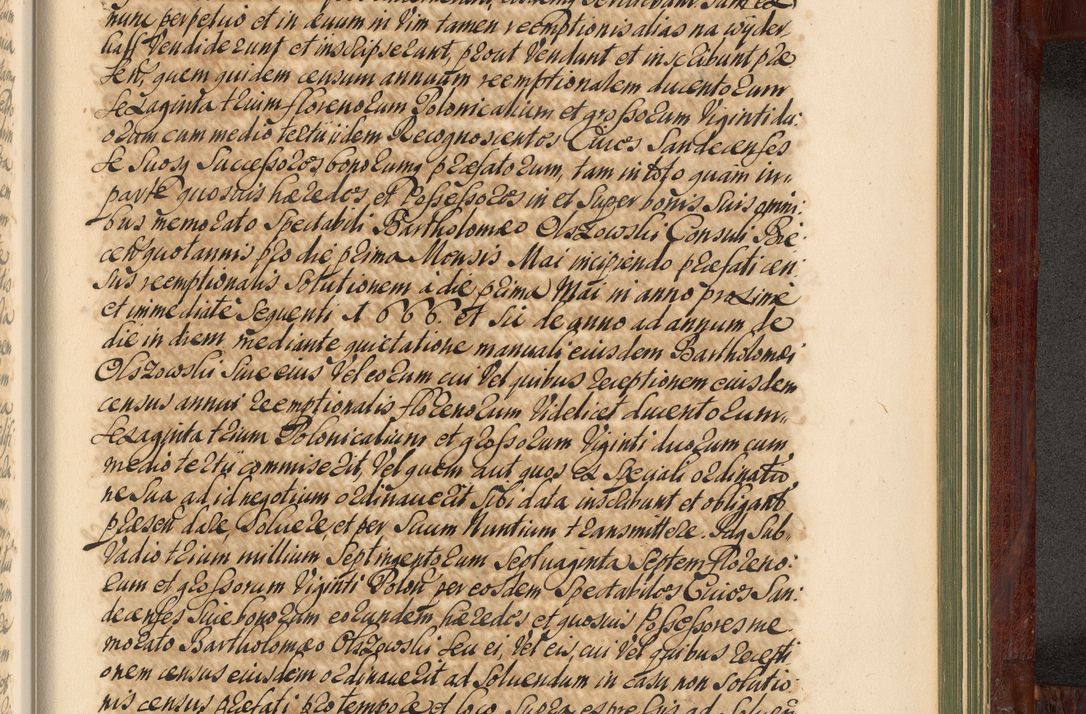 Zdjęcie nr 1334 dla obiektu archiwalnego: Acta actorum episcopalium R. D. Andreae Trzebicki, episcopi Cracoviensis et ducis Severiae de 1679. Volumen VIII